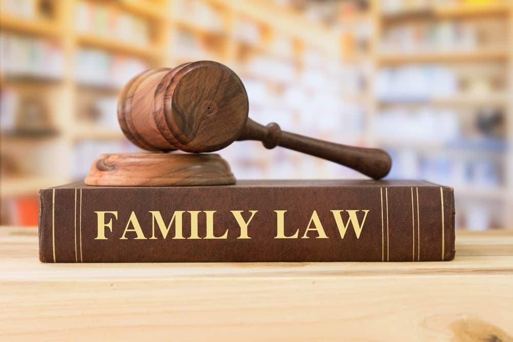 Top Family Law Experts in Sydney: What Services Do They Offer?